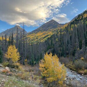 Meet your Posher, Andrea